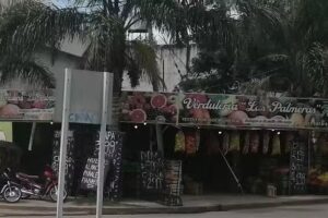 Verduler&iacute;a Las Palmeras