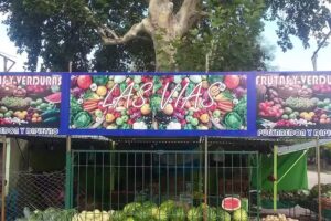 Verduler&iacute;a &ldquo;Las V&iacute;as&rdquo;