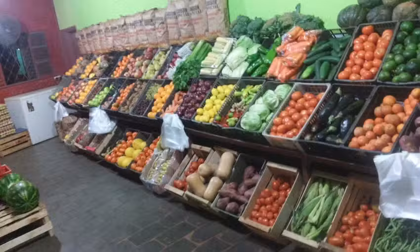 Verduler&iacute;a &ldquo;Lely&rdquo;