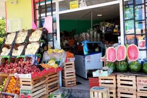 Verduler&iacute;a Leviat&aacute;n