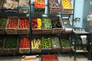 Verduler&iacute;a Lili