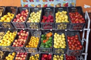 Verd&uacute;leria los 2 Ag&uuml;eros