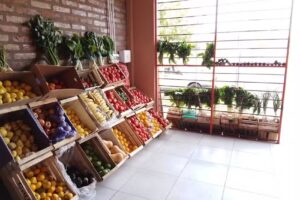 Verdulería los ardillas