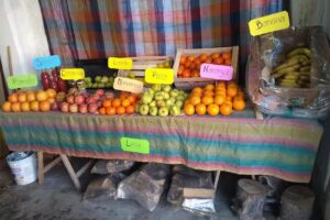 Verduler&iacute;a &ldquo;LOS GUINDOS &ldquo;