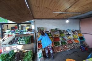 Verduler&iacute;a los hermanos