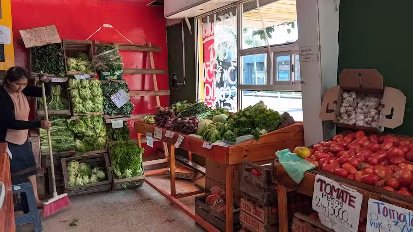 VERDULER&Iacute;A LOS MELLIS R Y J&rdquo;