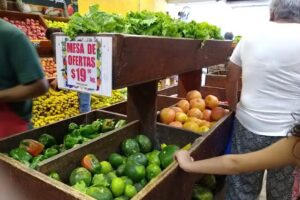 Verduler&iacute;a Los Toldos