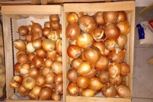 Verduler&iacute;a Los Tres Hermanos