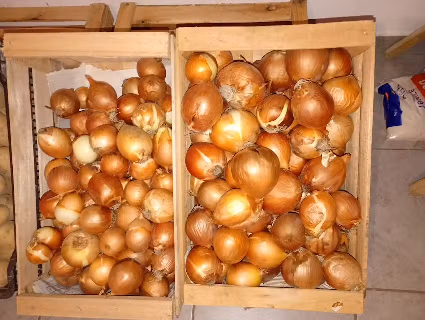 Verduler&iacute;a Los Tres Hermanos