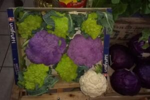 Verduleria Los Turquitos