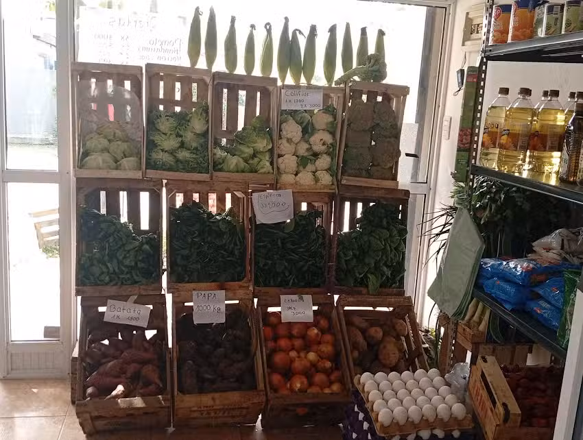 Verduler&iacute;a lujan