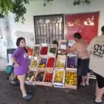 Verduleria lul&uacute;