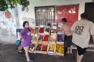 Verduleria lul&uacute;