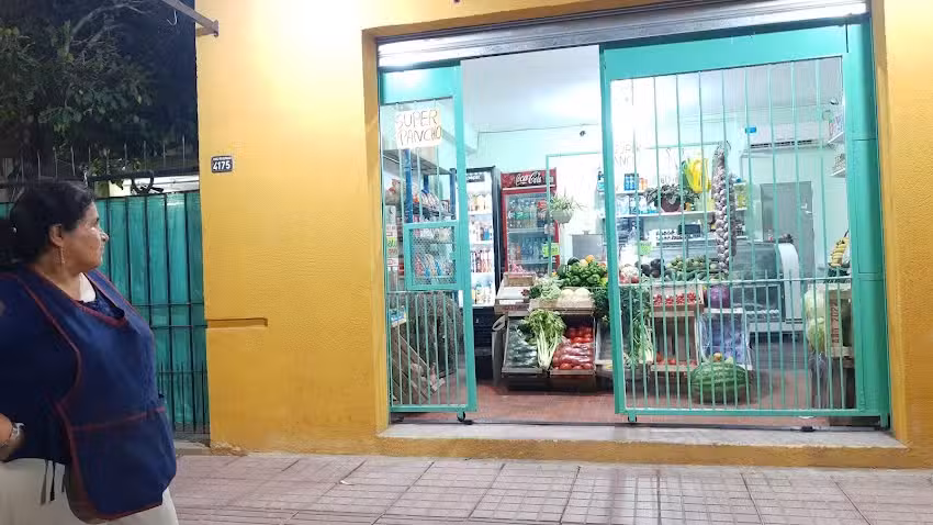 Verduler&iacute;a lunita