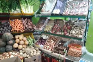 Verduler&iacute;a Magal&iacute;