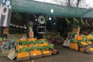 Verduler&iacute;a Malvinas