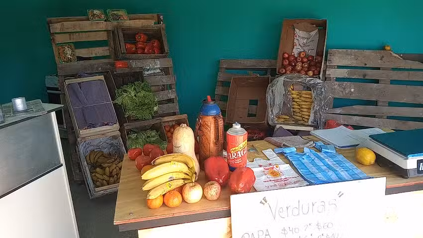 VERDULER&Iacute;A MANDALE FRUTA