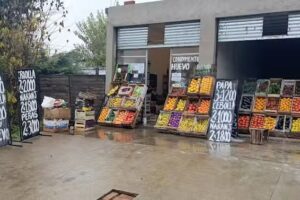 Verduleria Manzanares Frutas y Verduras