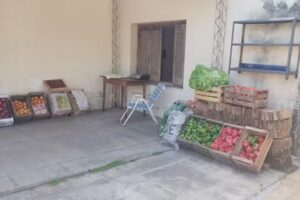 Verduler&iacute;a Maranatha