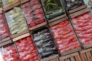 Verduler&iacute;a mary