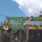 Verduler&iacute;a Mateo