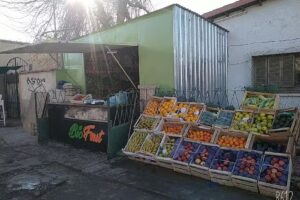 Verduler&iacute;a Mat&iacute;as