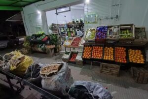 Verduler&iacute;a Mel&oacute;n