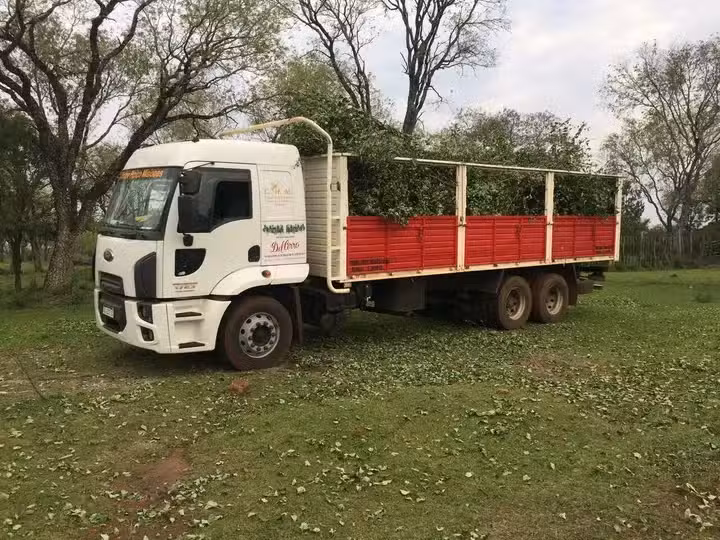 Verduler&iacute;a &ldquo;M&iacute; &aacute;ngel &ldquo;