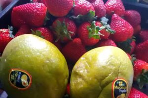 Verduler&iacute;a Mily