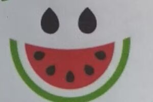 Verduleria Mis Tres Soles