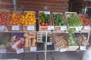 Verduler&iacute;a Mizamari