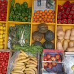 Verduler&iacute;a Nano