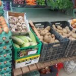 Verduler&iacute;a NARELY