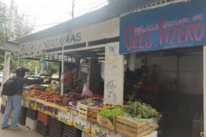 Verduler&iacute;a Nelson