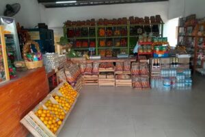 Verduler&iacute;a Nito