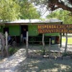 Verduler&iacute;a Oscar