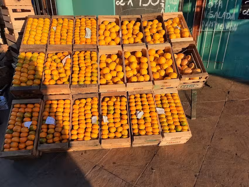 Verduleria Pampa Y La Fruta