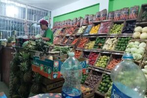 Verduler&iacute;a Pollo Gomez