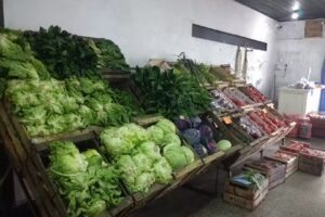 Verduleria”pompon”