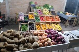 verduler&iacute;a poroto