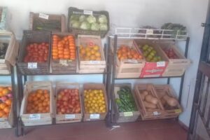 VERDULER&Iacute;A POTRERO