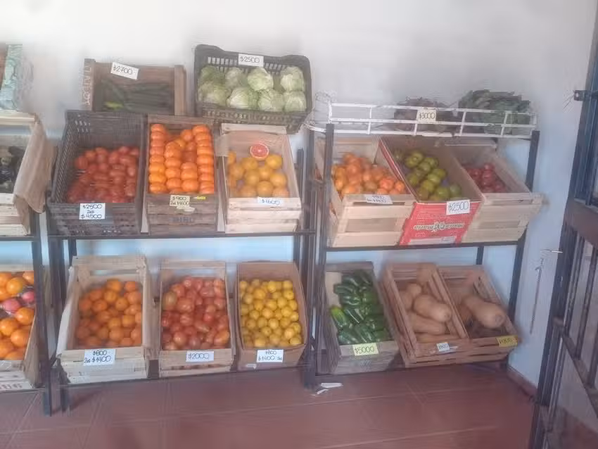 VERDULER&Iacute;A POTRERO