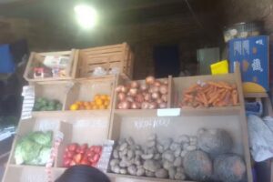 Verduler&iacute;a pt