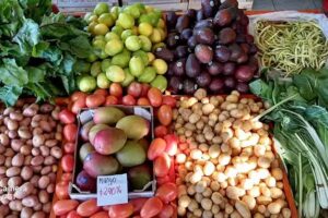 Verduler&iacute;a &iquest;Qu&eacute; acelga?