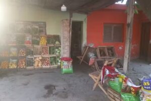 Verduler&iacute;a Raulito