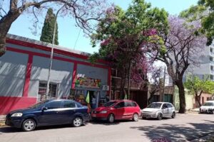 Verduler&iacute;a Roberto