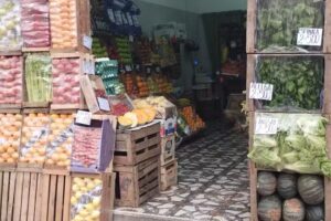 VERDULER&Iacute;A ROLY