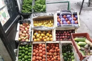 Verduler&iacute;a Rosa