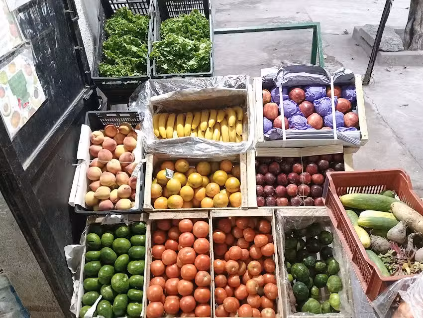 Verduler&iacute;a Rosa