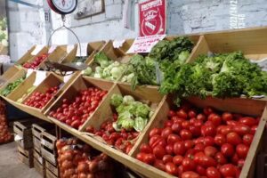 VERDULERIA SAN ESTEBAN